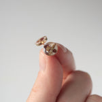 Load image into Gallery viewer, 8mm Pepperberry Studs on 14k Gold-fill
