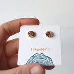 Load image into Gallery viewer, 8mm Pepperberry Studs on 14k Gold-fill
