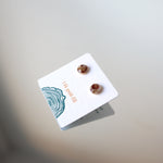 Load image into Gallery viewer, 8mm Pepperberry Studs on 14k Gold-fill
