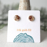 Load image into Gallery viewer, 8mm Pepperberry Studs on 14k Gold-fill
